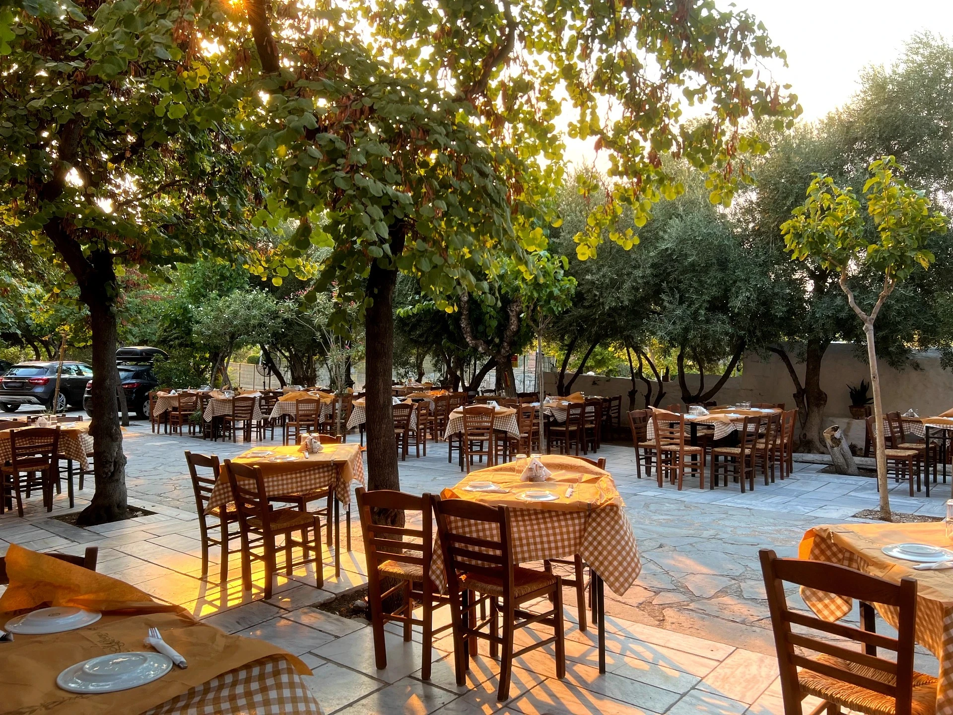 Charcoal-grilled lamb chops over wooden table, restaurant hero image